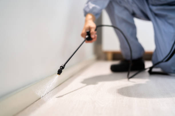 Licensed Pest Control service in Santa Rosa, NM - Show Me Pest Control